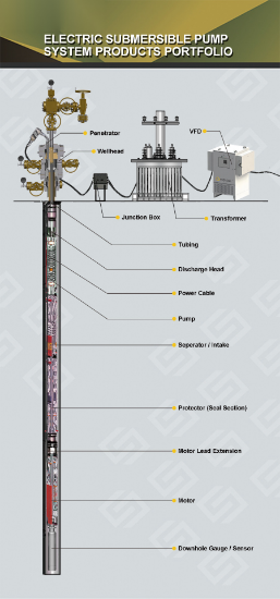 Picture of Electric Submersible Pump (ESP) System